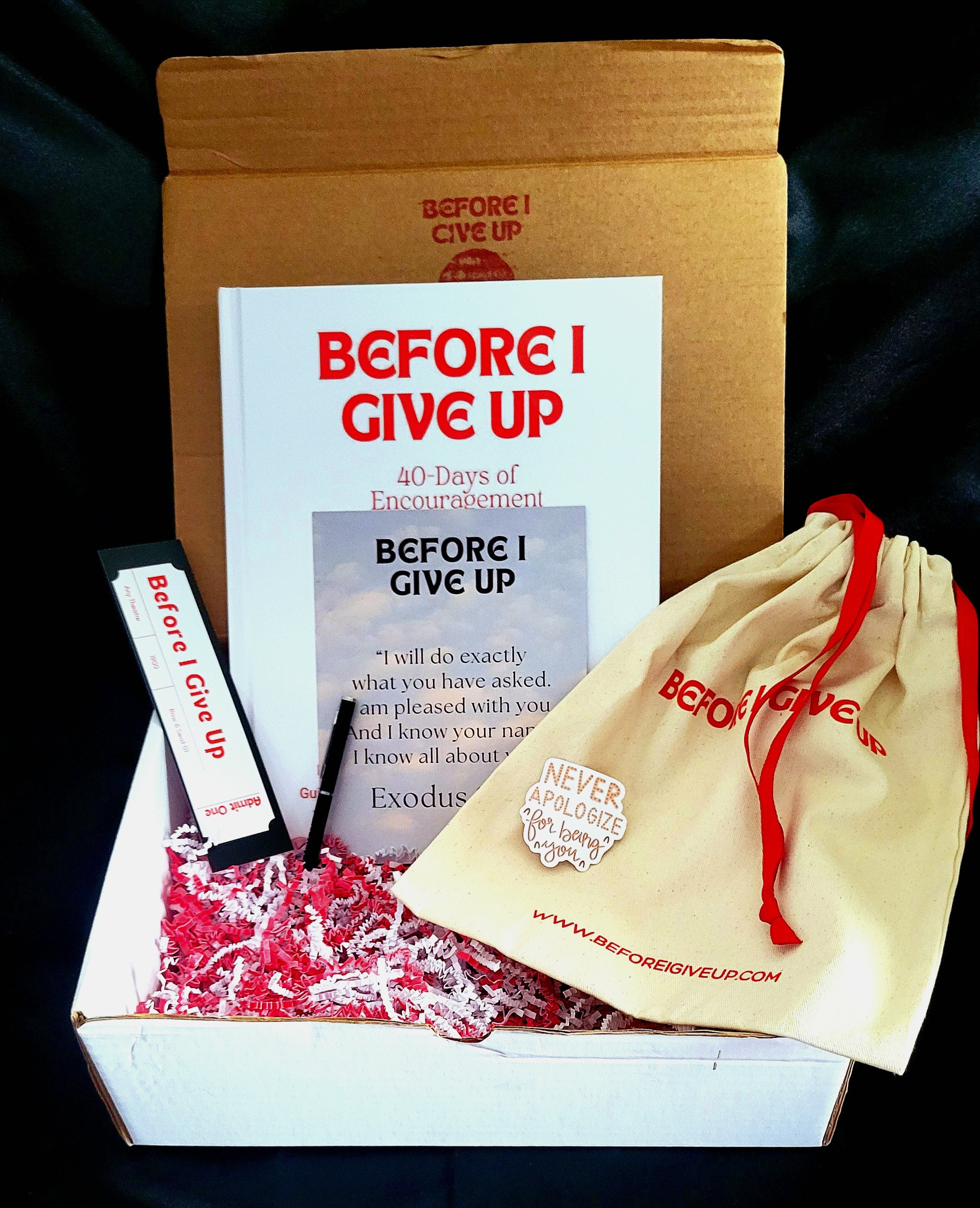 BEFORE I GIVE UP Book -M