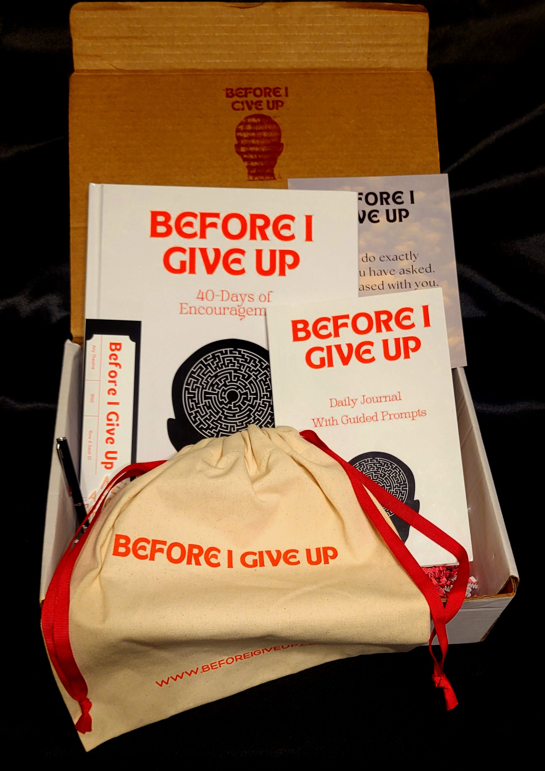 BEFORE I GIVE UP Book -M