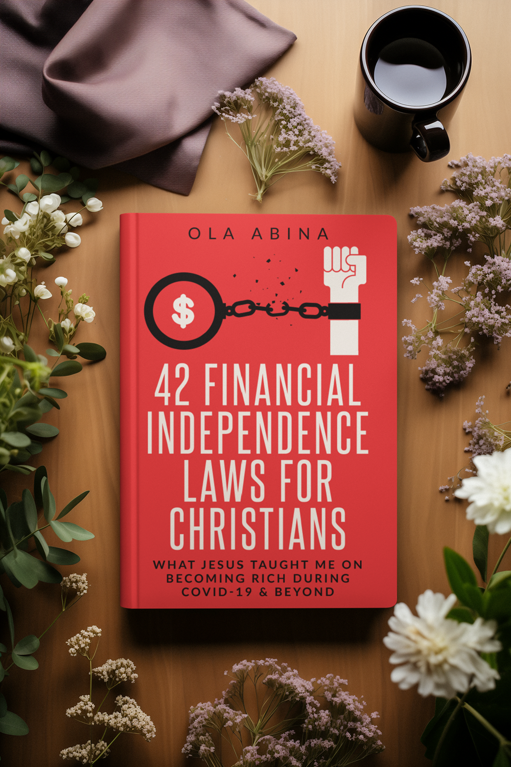 42 Financial Laws For Christians Money & Personal Finance & Income Sources - Book