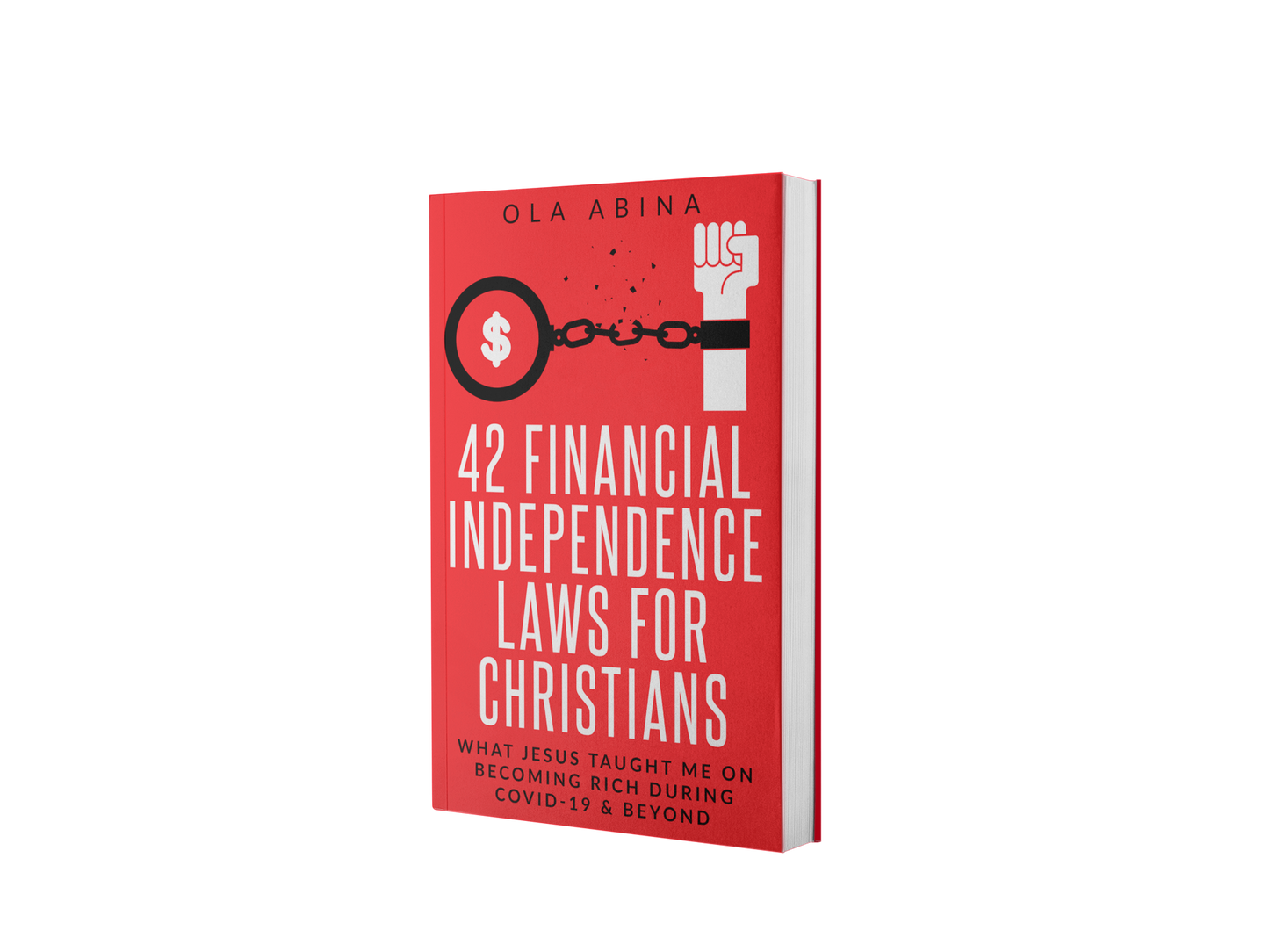 42 Financial Laws For Christians Money & Personal Finance & Income Sources - Book - Jesus Is Too Real (JITR)